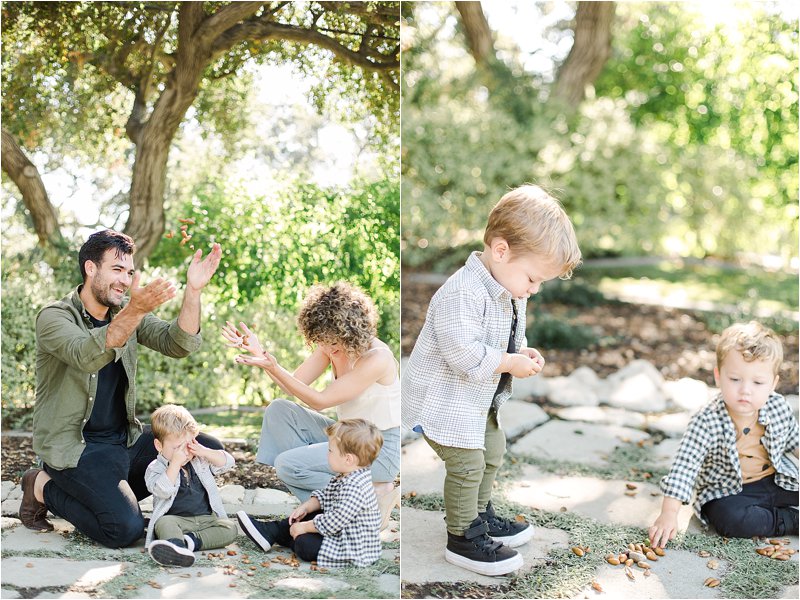 Candid family photos in Pasadena, CA.  Image on the left shows 2 year old twin brothers sitting on the ground while their parents squat down and they all throw leaves and acorns in the air.  Image on the right shows the twins gathering acorns to play with.  