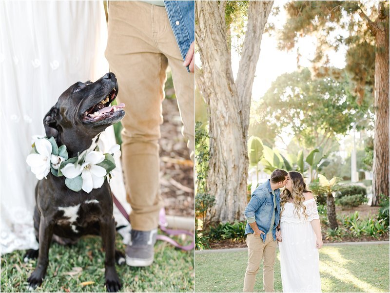 Image on the left shows the family dog wearing a magnolia collar looking up at the Dad. Image on the left shows the Mother and Father holding hands and kissing in a park with many trees.