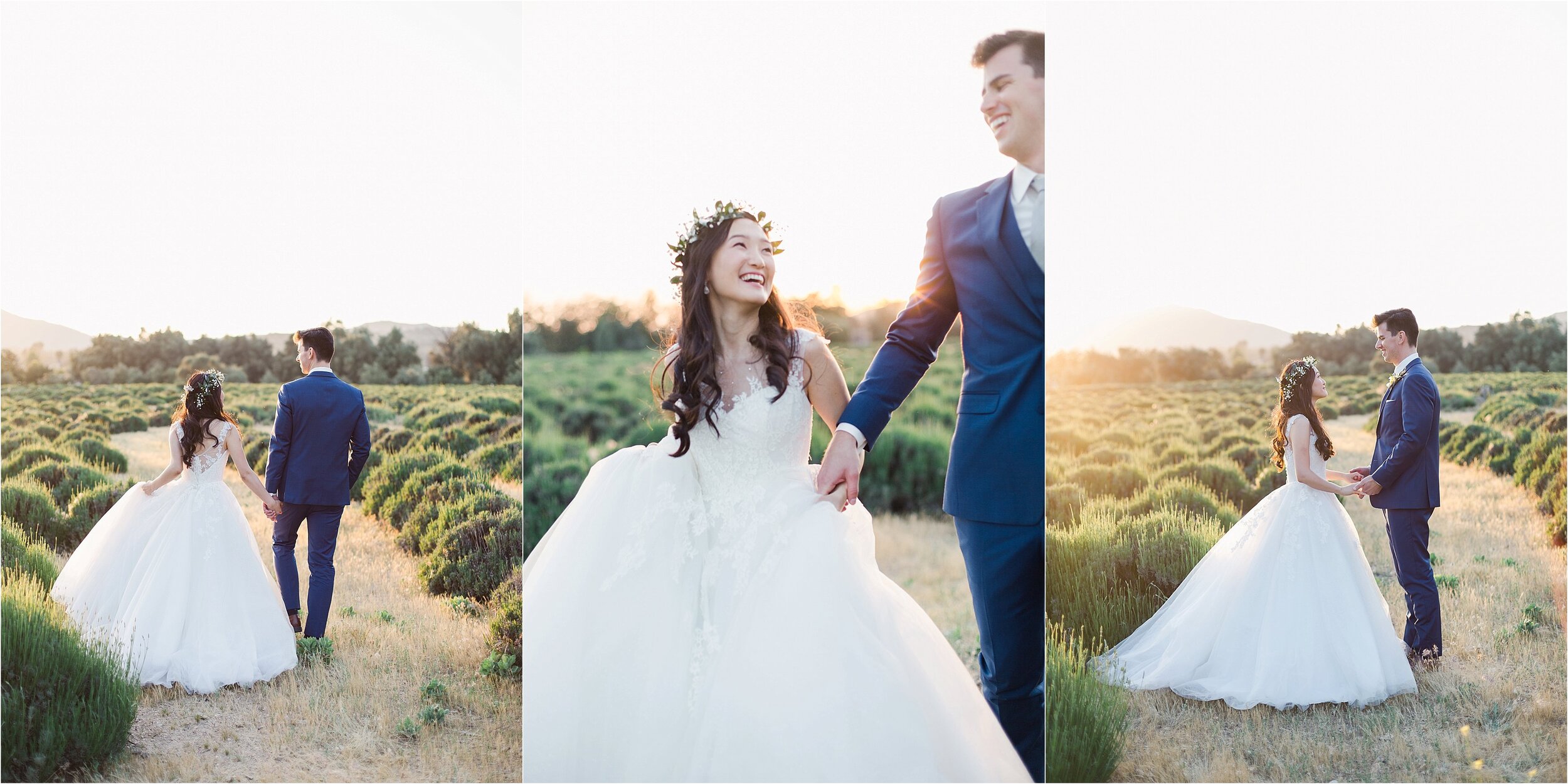 Lavender Field Wedding Photos