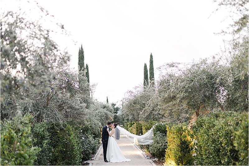 Bride and groom share a kiss in a tree lined vineyard aisle as her veil floats in the wind during their wedding portraits at Allegretto Vineyard Resort in Paso Robles.