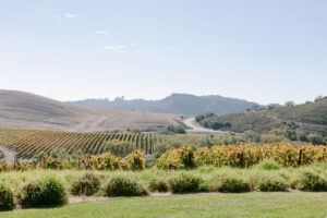 Hilltop winery views from Greengate Ranch, San Luis Obispo