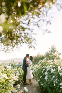 Olive trees frame this shot as fiances share a kiss in the white rose garden at Stonewall Ranch Malibu following their engagement.